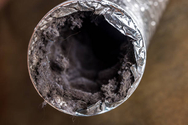 Best Air Duct Cleaning Near Me  in Quartz Hill, CA