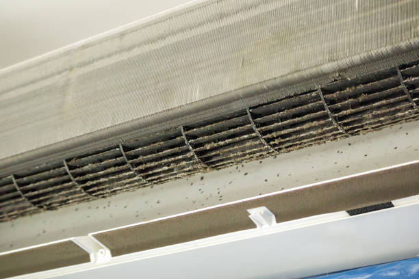 Affordable HVAC Duct Cleaning in Quartz Hill, CA