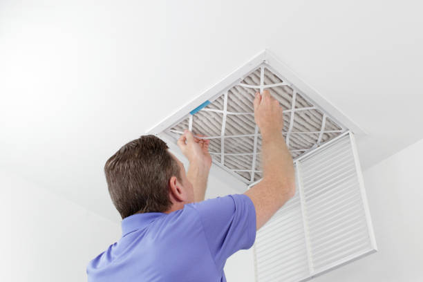 Best Duct Cleaning for Offices  in Quartz Hill, CA